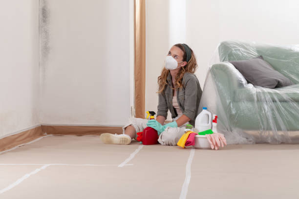 Reliable Mold Cleanup contractor in Westphalia, MI by WQB Mold Removal